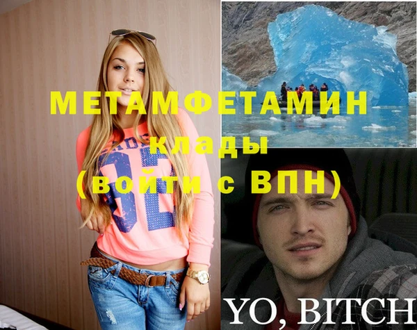 гидра Надым