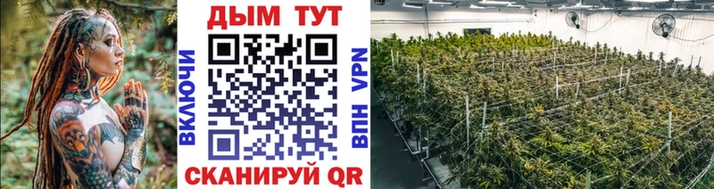 Каннабис ГИДРОПОН  omg маркетплейс  Ялуторовск 